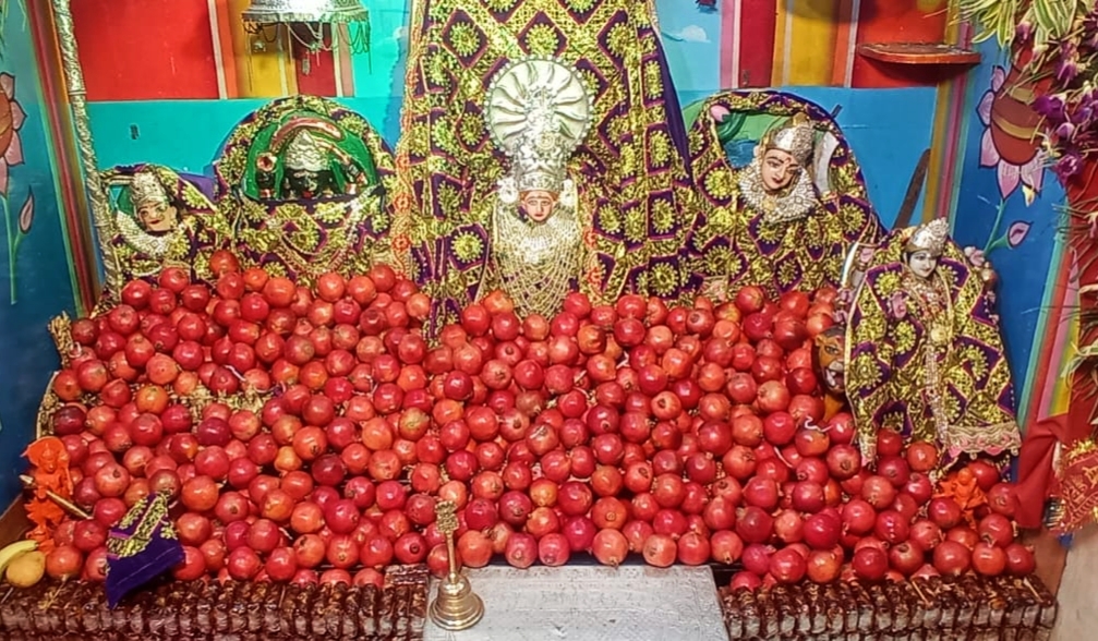 Akhada parishad , नवरात्रि के अंतिम दिन माया देवी मंदिर में विशेष शांति यज्ञ का आयोजन ।