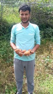 भटकोट के पवन पांडेय बने कीवी मिशन की सफलता की मिसाल, मुख्यमंत्री की आत्मनिर्भरता की सोच को कर रहे साकार