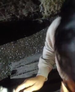 ज्वालापुर में झमाझम बारिश के साथ गिरे ओले, बच्चों के खिले चेहरे तो कही छाई चिंता की लकीरें