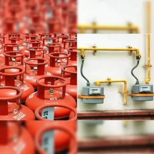 सचिव खाद्य हर दिन करेंगे गैस आपूर्ति की समीक्षा