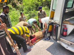 * सड़क हादसे में घायल युवक की सूचना विभाग टीम ने बचाई जान